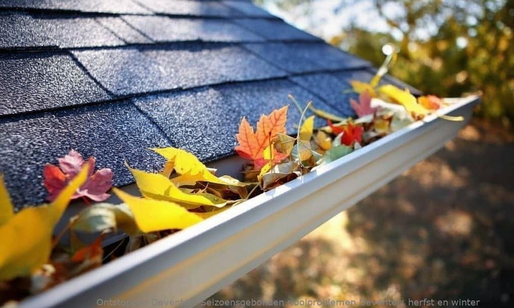 Seizoensgebonden rioolproblemen Deventer: herfst en winter